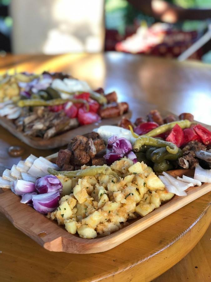 Vila Fan Confort Vişeu de Sus 외부 사진