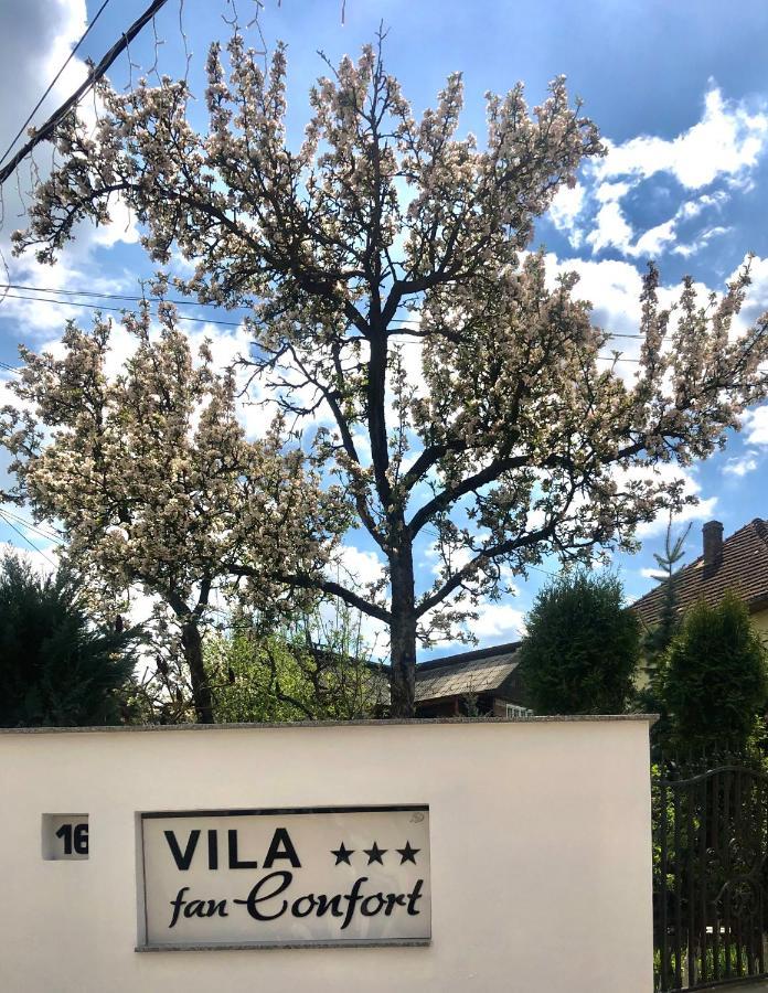 Vila Fan Confort Vişeu de Sus 외부 사진