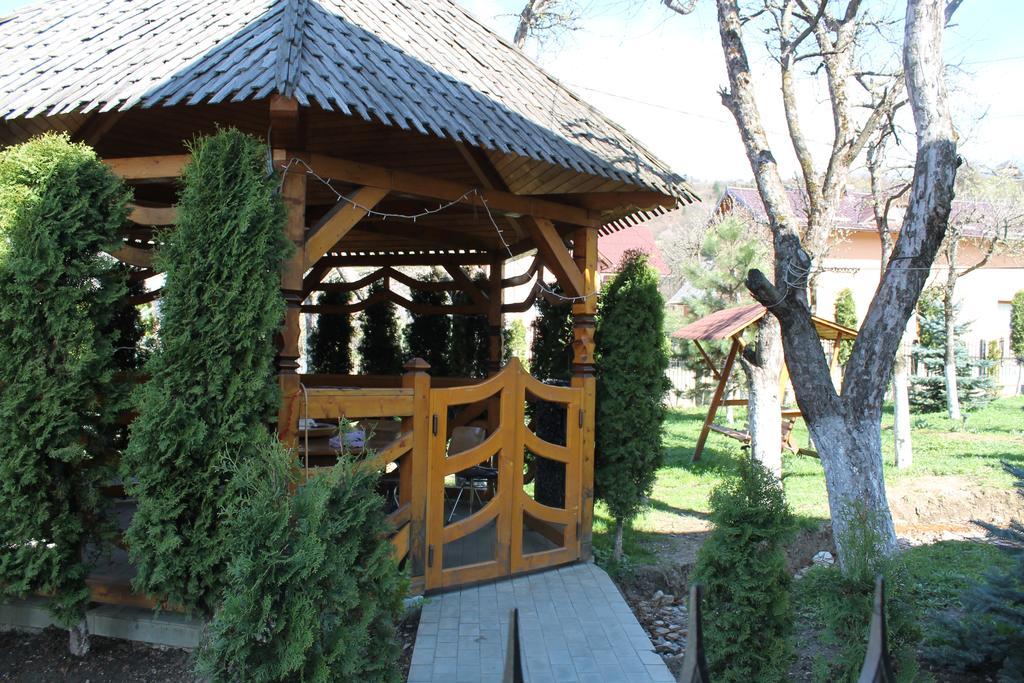 Vila Fan Confort Vişeu de Sus 외부 사진