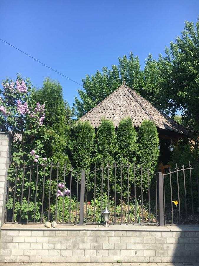 Vila Fan Confort Vişeu de Sus 외부 사진