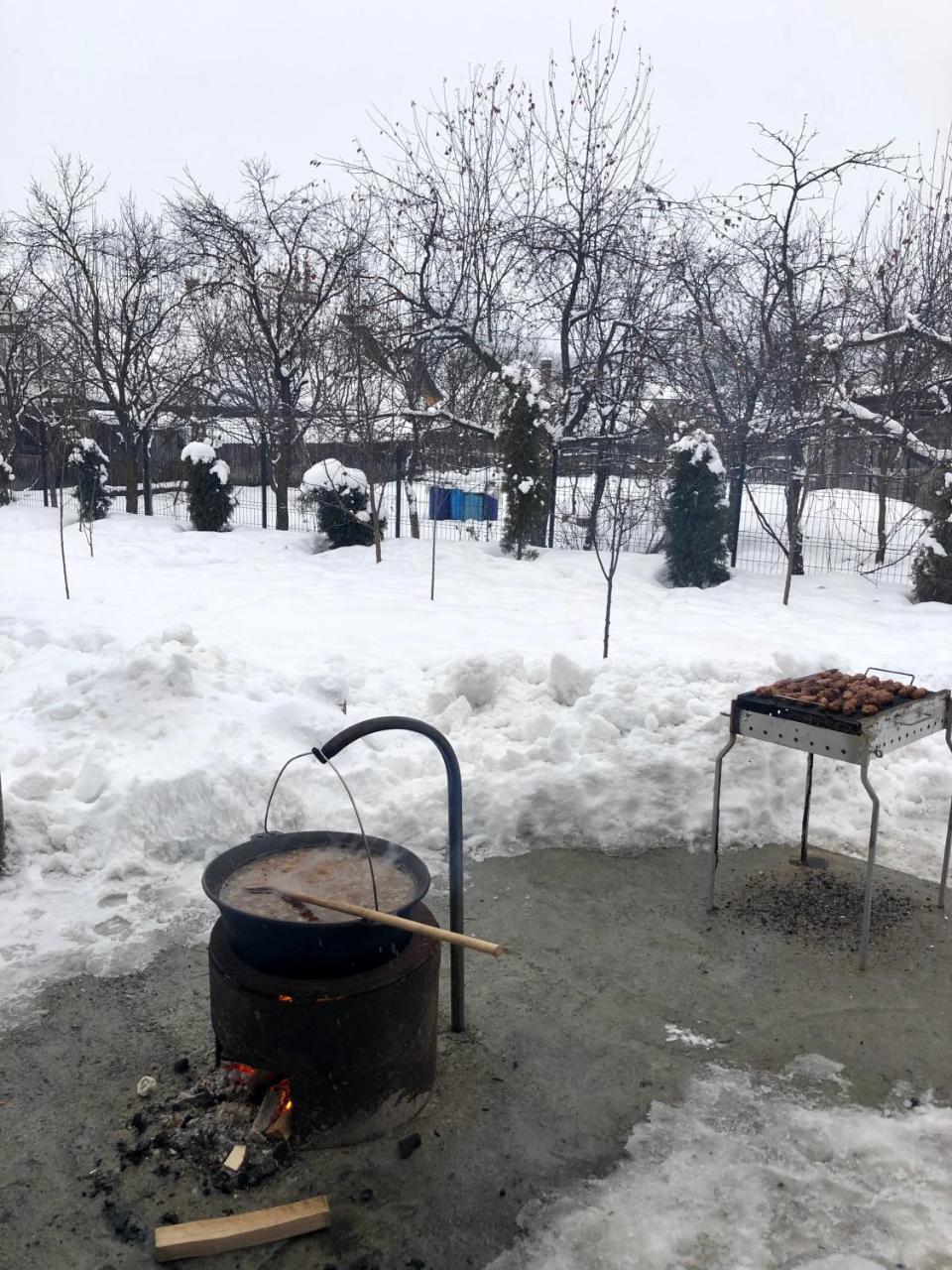 Vila Fan Confort Vişeu de Sus 외부 사진