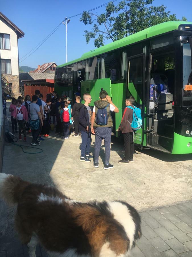 Vila Fan Confort Vişeu de Sus 외부 사진