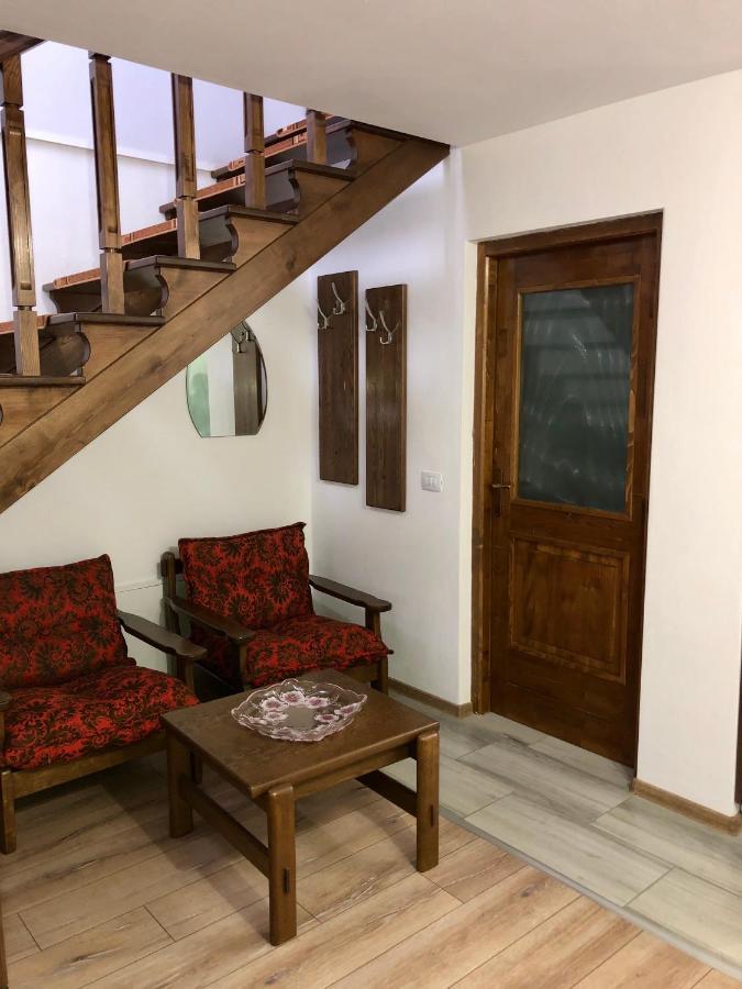 Vila Fan Confort Vişeu de Sus 외부 사진